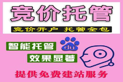 实战案例：如何利用百度推广拓展市场份额